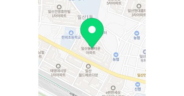 경기도 고양시 일산서구 일산동 955-2 일산동양아파트 108동 13층1305호 미지정 경매 물건 이미지