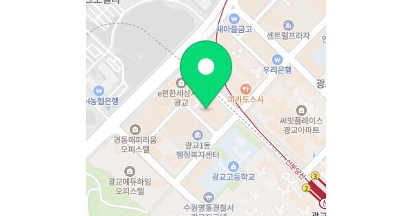 경기도 수원시 영통구 이의동 1351-6 광교유니코어  11층알파1113호 미지정 경매 물건 이미지