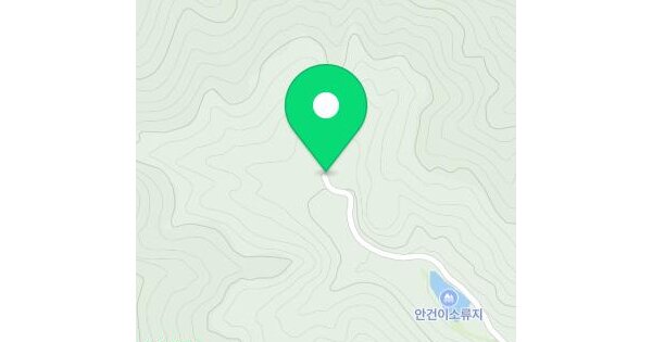 충청북도 청주시 상당구 낭성면 지산리 산95-8  미지정 경매 물건 이미지