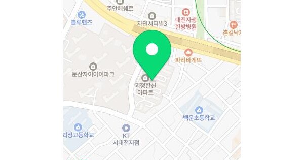 대전광역시 서구 괴정동 418 한신아파트 104동 11층1102호 미지정 경매 물건 이미지
