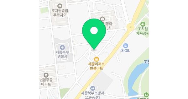 세종특별자치시  조치원읍 번암리 63  미지정 경매 물건 이미지
