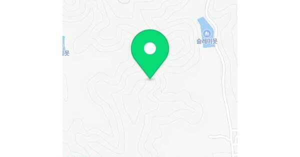 경상북도 영천시 금호읍 대미리 산61  미지정 경매 물건 이미지