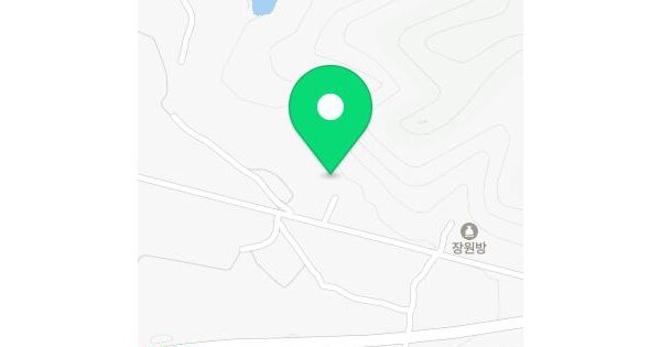 경상북도 구미시 산동읍 임천리 산55  미지정 경매 물건 이미지
