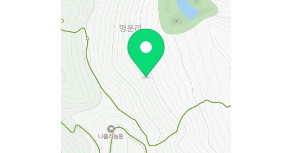 경상남도 통영시 산양읍 영운리 산218-1  미지정 경매 물건 이미지