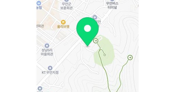 전남광주통합특별시 무안군 무안읍 성남리 176  미지정 경매 물건 이미지