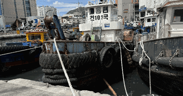 기선 건국101호 등록번호 : BSR-880677 미지정 경매 물건 이미지