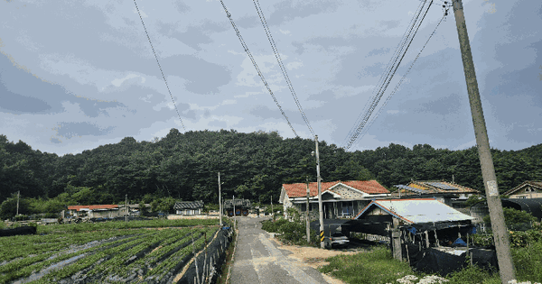 충청남도 금산군 금성면 상가리 산6-2  미지정 경매 물건 이미지