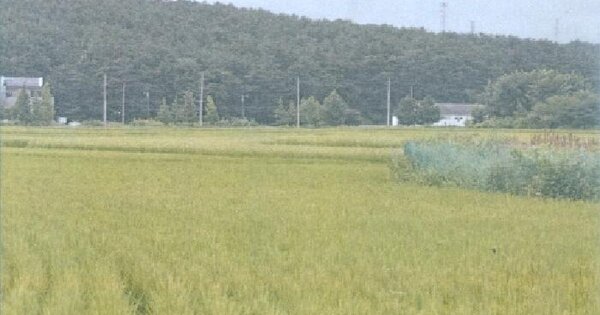 강원특별자치도 강릉시 회산동 310  미지정 경매 물건 이미지