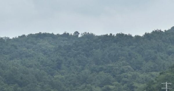 충청북도 진천군 문백면 도하리 산40  미지정 경매 물건 이미지