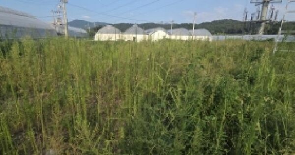 경기도 고양시 덕양구 오금동 379-1  미지정 경매 물건 이미지