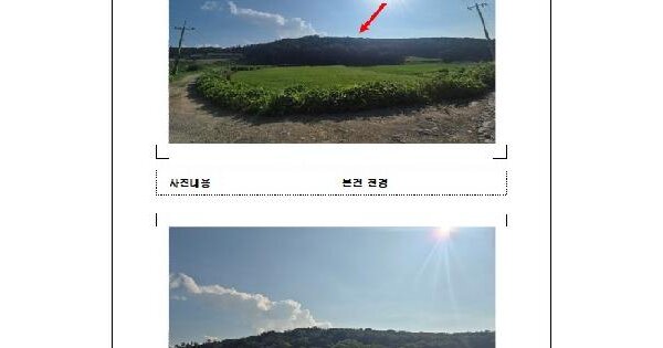 전남광주통합특별시 함평군 대동면 백호리 산216-21  미지정 경매 물건 이미지