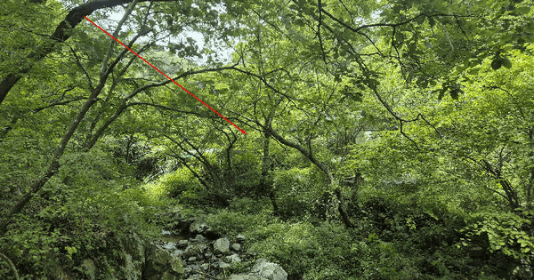 울산광역시 북구 어물동 304  미지정 경매 물건 이미지