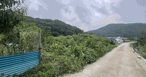 경기도 파주시 법원읍 금곡리 249-1  미지정 경매 물건 이미지