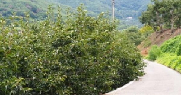 경상남도 밀양시 상동면 신곡리 1634-1  미지정 경매 물건 이미지