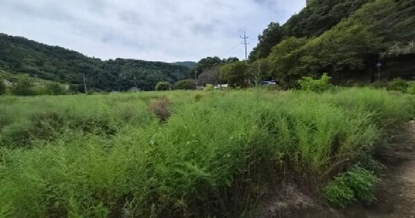 충청남도 금산군 진산면 만악리 670  미지정 경매 물건 이미지