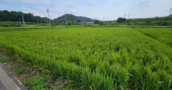 충청북도 음성군 감곡면 왕장리 303  미지정 경매 물건 이미지