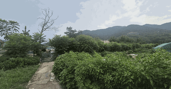 경상북도 경산시 옥곡동 520  미지정 경매 물건 이미지