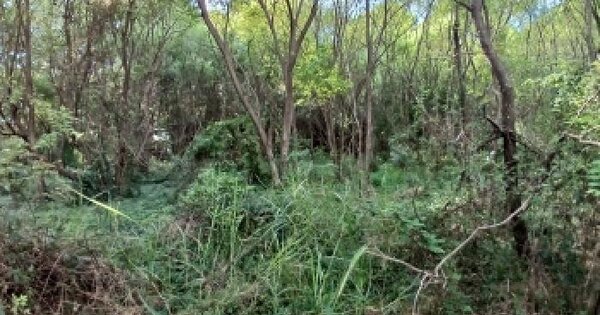 충청남도 당진시 송악읍 오곡리 341  미지정 경매 물건 이미지