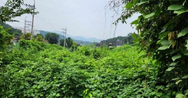 경기도 남양주시 화도읍 마석우리 18-60  미지정 경매 물건 이미지