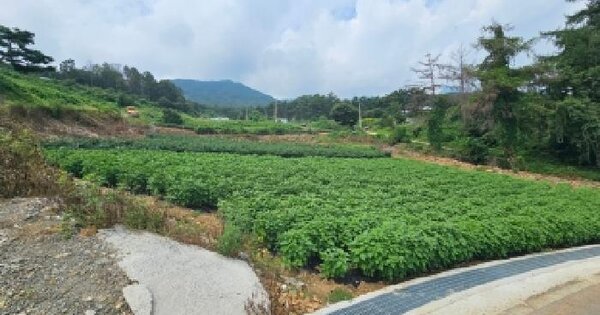 충청북도 단양군 적성면 하리 437  미지정 경매 물건 이미지