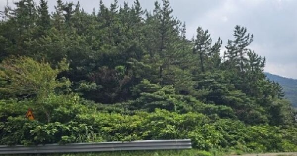 전남광주통합특별시 해남군 삼산면 평활리 산143-1  미지정 경매 물건 이미지