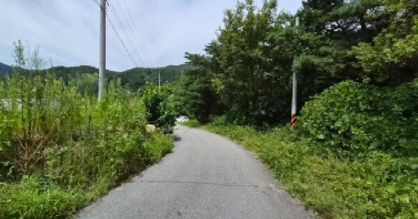 충청남도 금산군 남이면 흑암리 산4  미지정 경매 물건 이미지