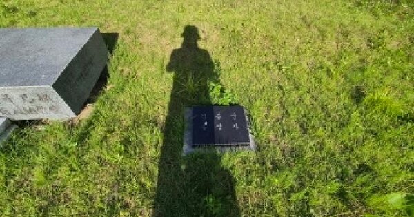 충청남도 금산군 추부면 용지리 산37-2  미지정 경매 물건 이미지