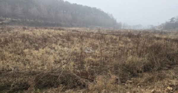 충청북도 충주시 주덕읍 덕련리 493 답 경매 물건 이미지