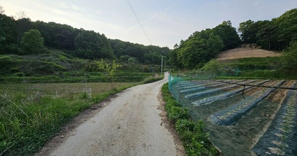 충청북도 음성군 음성읍 초천리 산106-1 임야 경매 물건 이미지