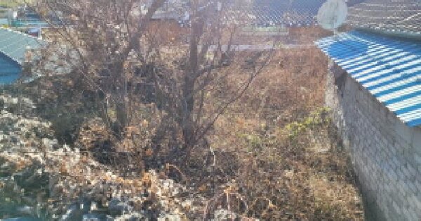 전남광주통합특별시 고흥군 동일면 덕흥리 269 대지 경매 물건 이미지