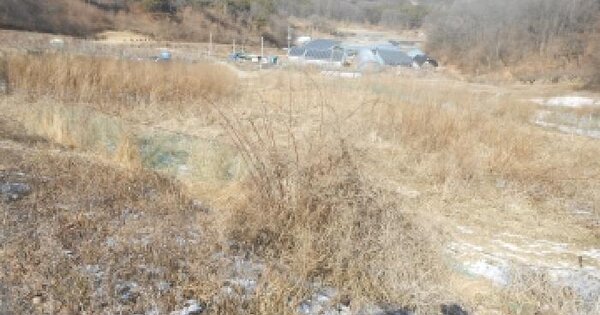 세종특별자치시 전동면 송정리 282-2 전 경매 물건 이미지
