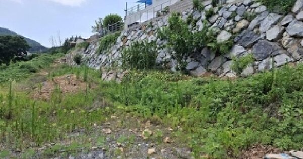경상남도 남해군 삼동면 물건리 130-42 전 경매 물건 이미지