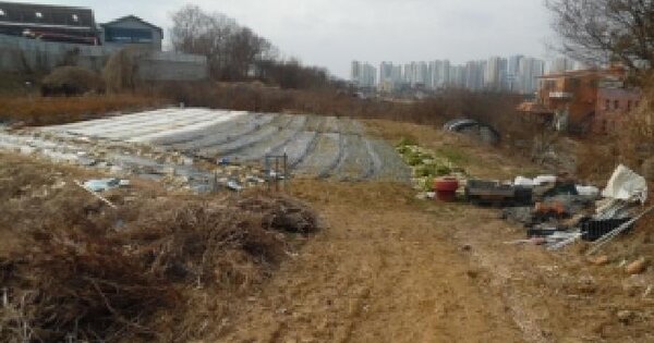 전북특별자치도 전주시 OOO OOOOOOOO 전 경매 물건 이미지