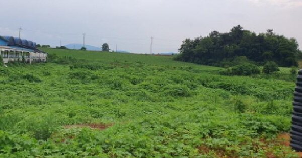 전북특별자치도 김제시 금산면 용산리 177-21 목장용지 경매 물건 이미지