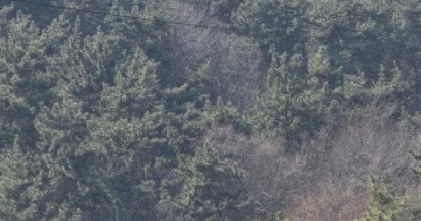 경상남도 통영시 산양읍 영운리 OOOO 전 경매 물건 이미지