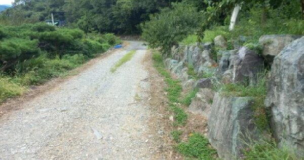 경상남도 거제시 수월동 산99 임야 경매 물건 이미지