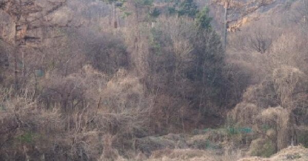 경상남도 밀양시 상남면 연금리 1361 전 경매 물건 이미지