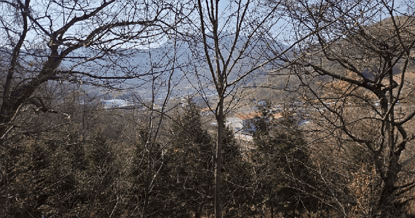 경상남도 밀양시 상남면 연금리 1093-1 전 경매 물건 이미지