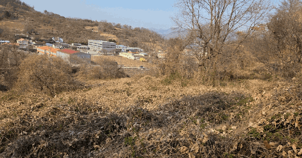 경상남도 밀양시 상남면 연금리 1089 전 경매 물건 이미지