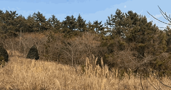 전남광주통합특별시 목포시 달동 326-4 임야 경매 물건 이미지
