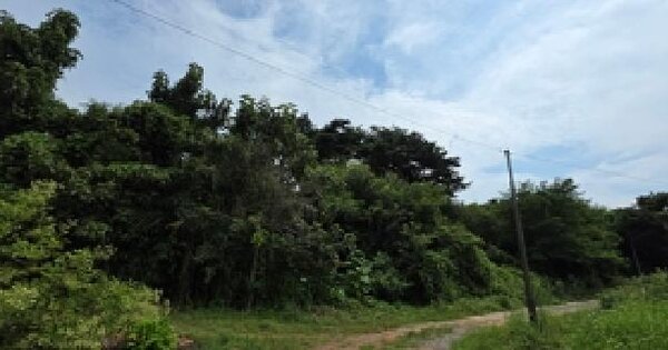 충청남도 홍성군 서부면 남당리 217-21  미지정 경매 물건 이미지