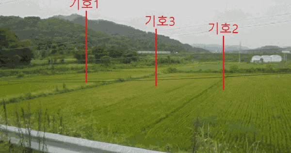 충청북도 음성군 소이면 대장리 553-1  미지정 경매 물건 이미지