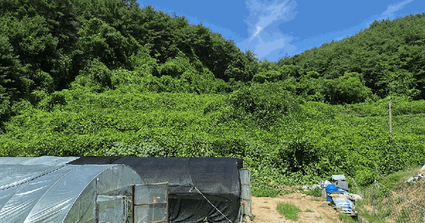 경상북도 예천군 보문면 기곡리 347  미지정 경매 물건 이미지