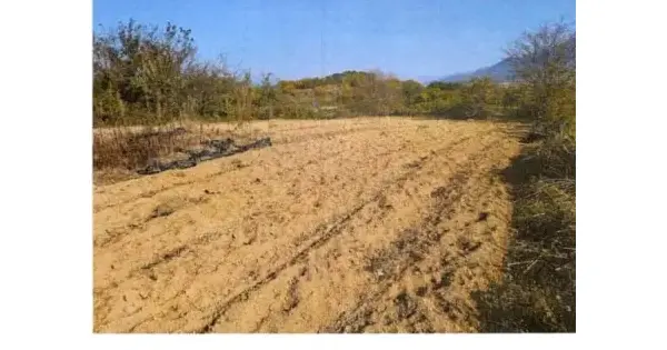 경상남도 고성군 고성읍 동외리 450-1 전 경매 물건 이미지