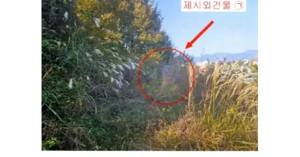 경상남도 고성군 고성읍 동외리 434 전 경매 물건 이미지