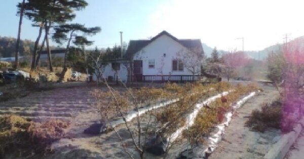 강원특별자치도 평창군 진부면 송정리 2241-20 답 경매 물건 이미지