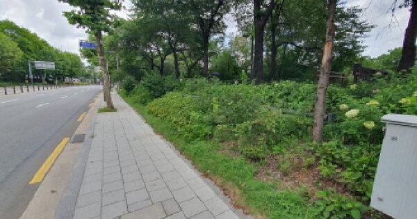 서울특별시 강북구 번동 324-4 제방 경매 물건 이미지