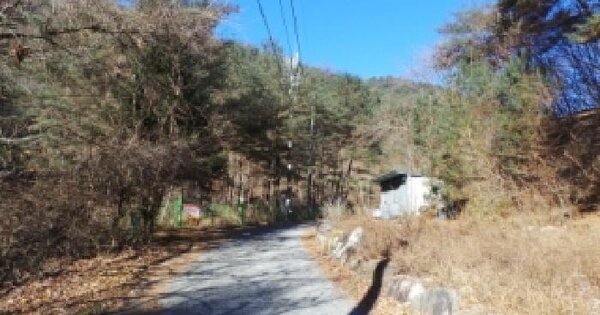 강원특별자치도 영월군 무릉도원면 도원리 383 전 경매 물건 이미지