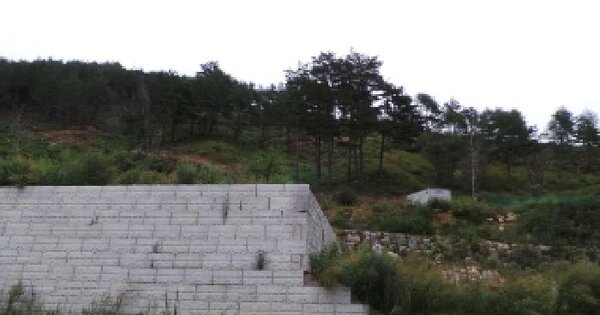 강원특별자치도 평창군 대관령면 차항리 산228-1 임야 경매 물건 이미지