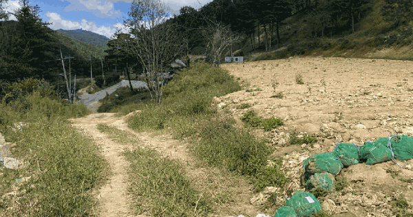 강원특별자치도 평창군 대관령면 차항리 582-20 전 경매 물건 이미지
